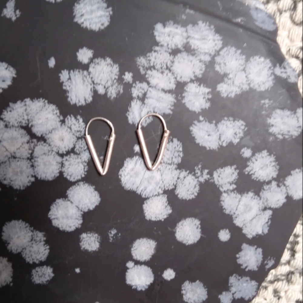 Source Unknown Silver Earrings
